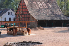 ponyhof_3